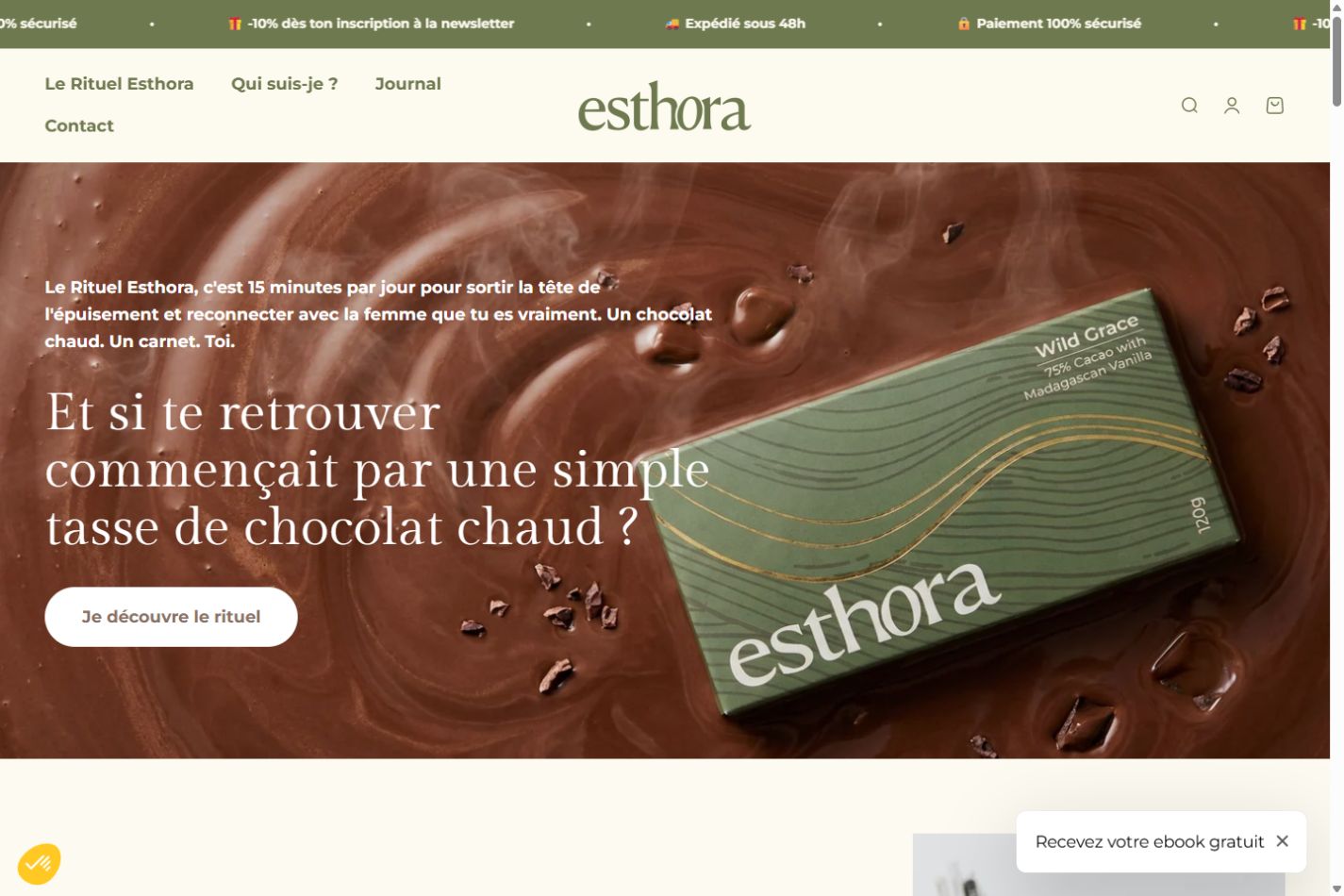 Esthora web sitesinin ana sayfa ekran görüntüsü